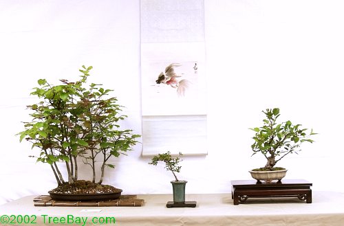 sm_20020421Kusamura 127_adj.jpg